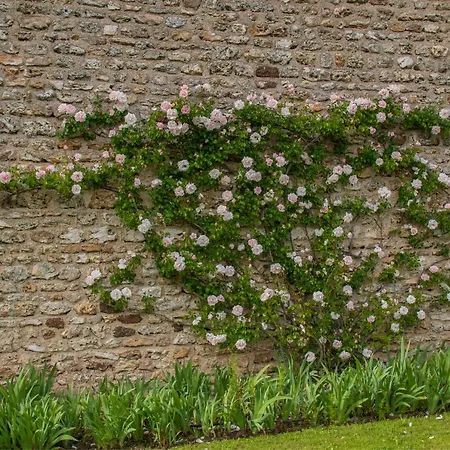 D'hotes La Pocterie Vouneuil-sur-Vienne