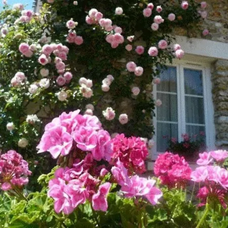 فندق مبيت وإفطار D'hotes La Pocterie Vouneuil-sur-Vienne